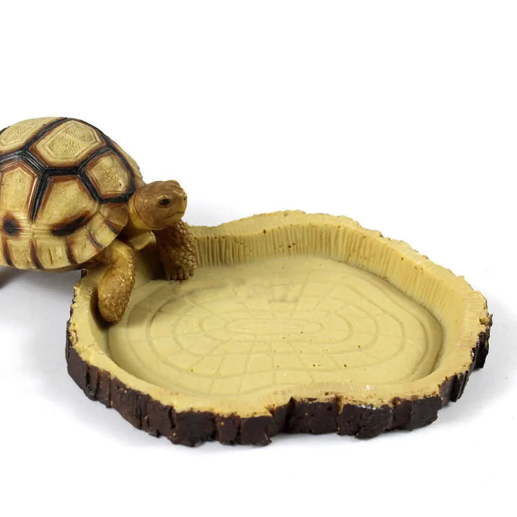 Reptile Feeder Bowl Basin - okpetssupplies.com