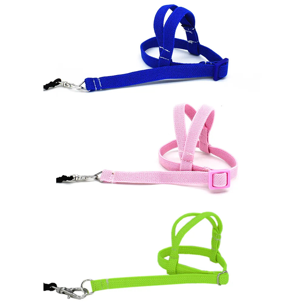 Pet Bird Parrot Harness and Leash Bird Rope Anti-bite Flying Training Supplies Pet Leash Kits Ultralight Harness Leash Soft