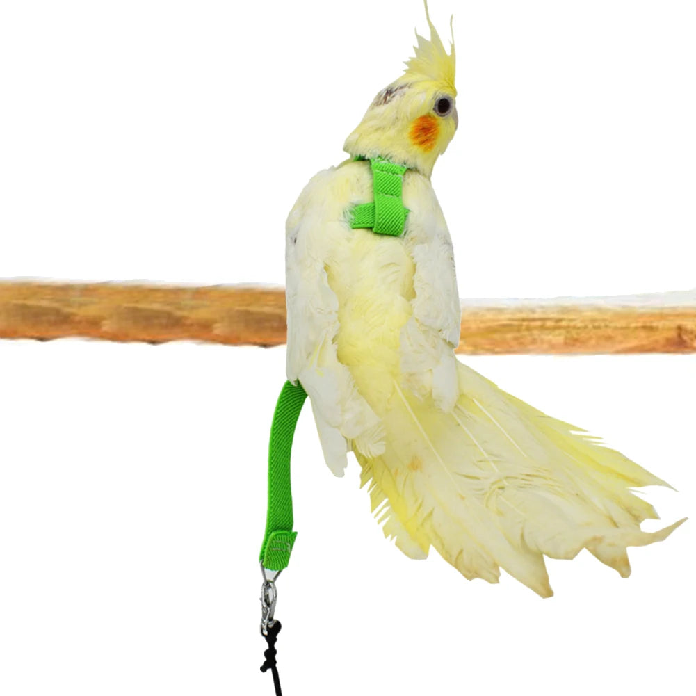 Pet Bird Parrot Harness and Leash Bird Rope Anti-bite Flying Training Supplies Pet Leash Kits Ultralight Harness Leash Soft