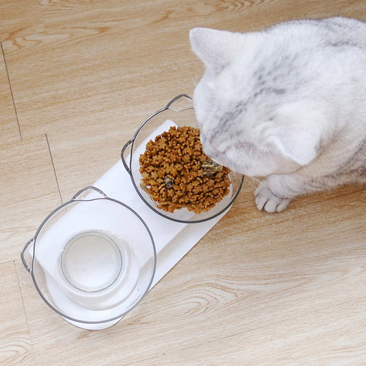 Pet  Elevated Double Bowls