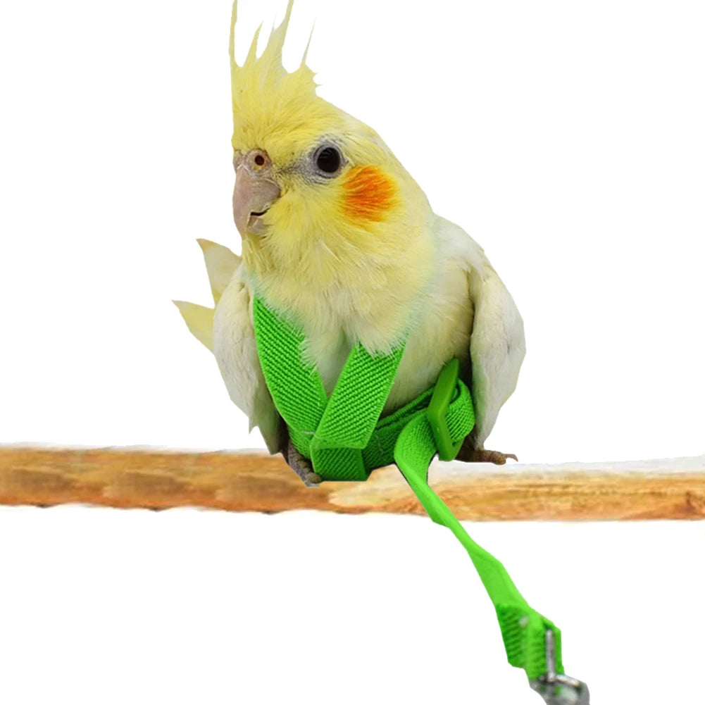 Pet Bird Parrot Harness and Leash Bird Rope Anti-bite Flying Training Supplies Pet Leash Kits Ultralight Harness Leash Soft