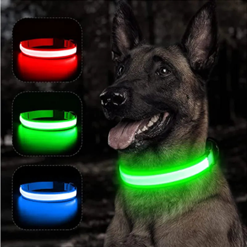 LED Glowing Dog Collar - okpetssupplies.com