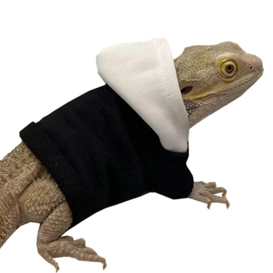 Lizards Clothes for Bearded Dragon