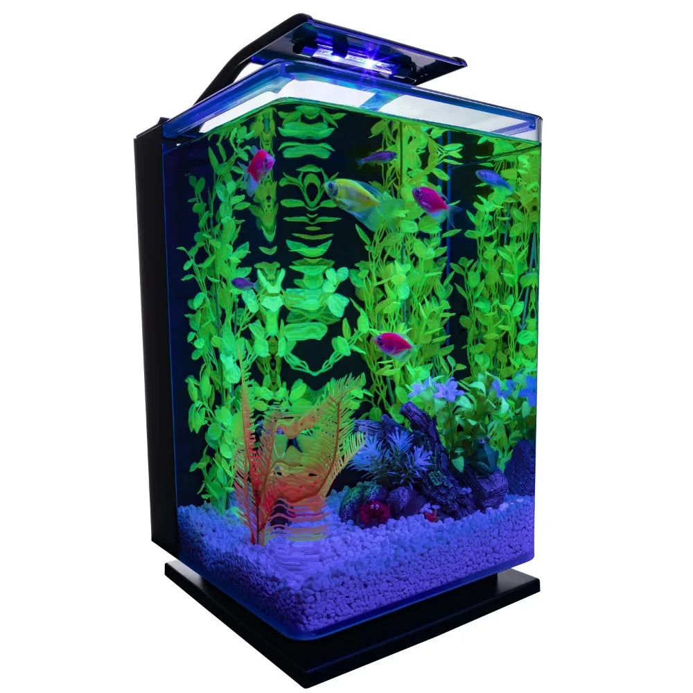 Aquarium 5 Gal Desktop