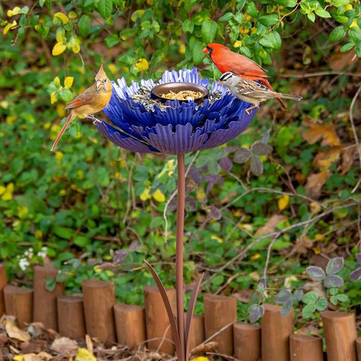 Coneflower Bird Feeder