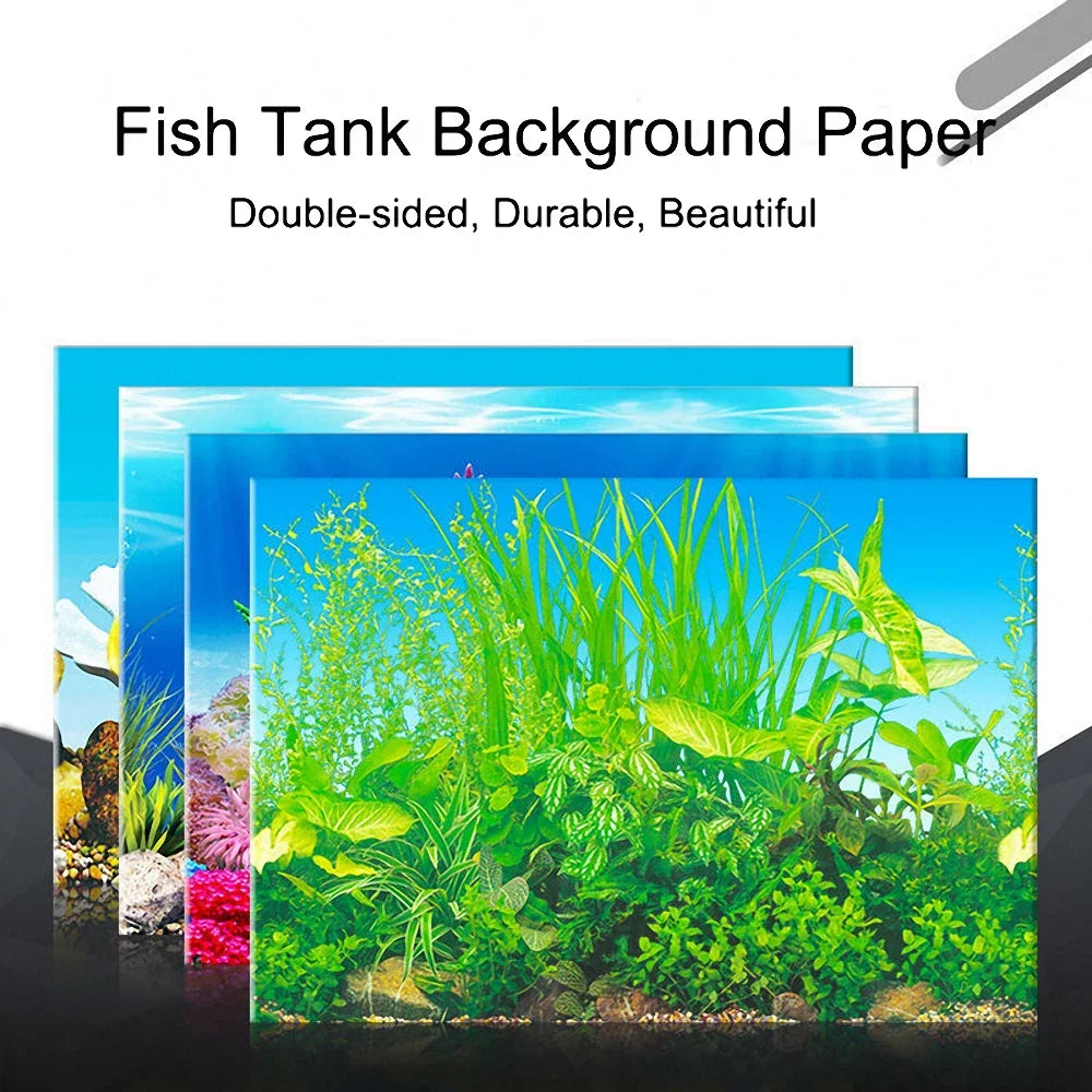 Double-sided Aquarium Landscape