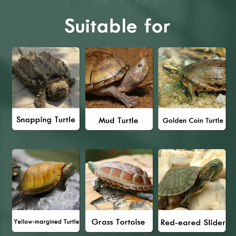 Turtle Tank Container Reptile Detachable House