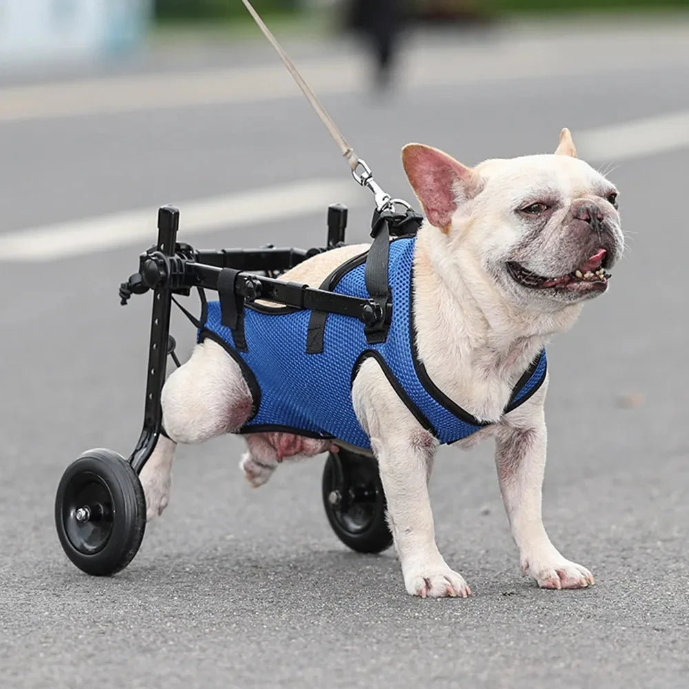 Disability Wheelchair , Hind Legs