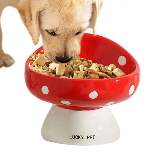 Elevated Food Bowl 200ml