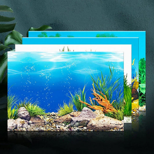 Double-sided Aquarium Landscape