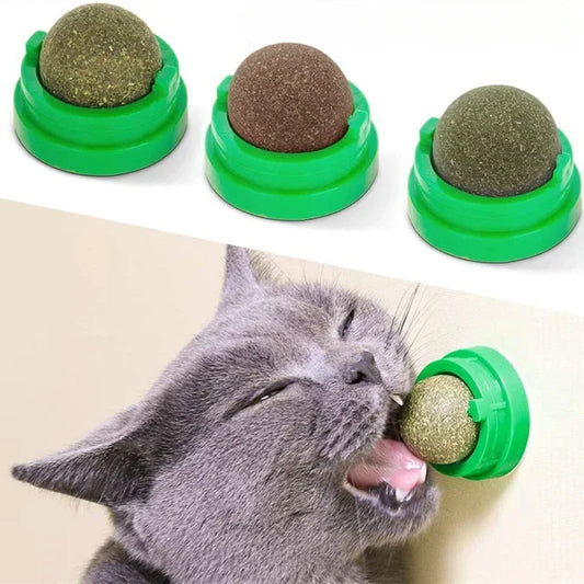 Catnip .Toy Spin. Adhesive