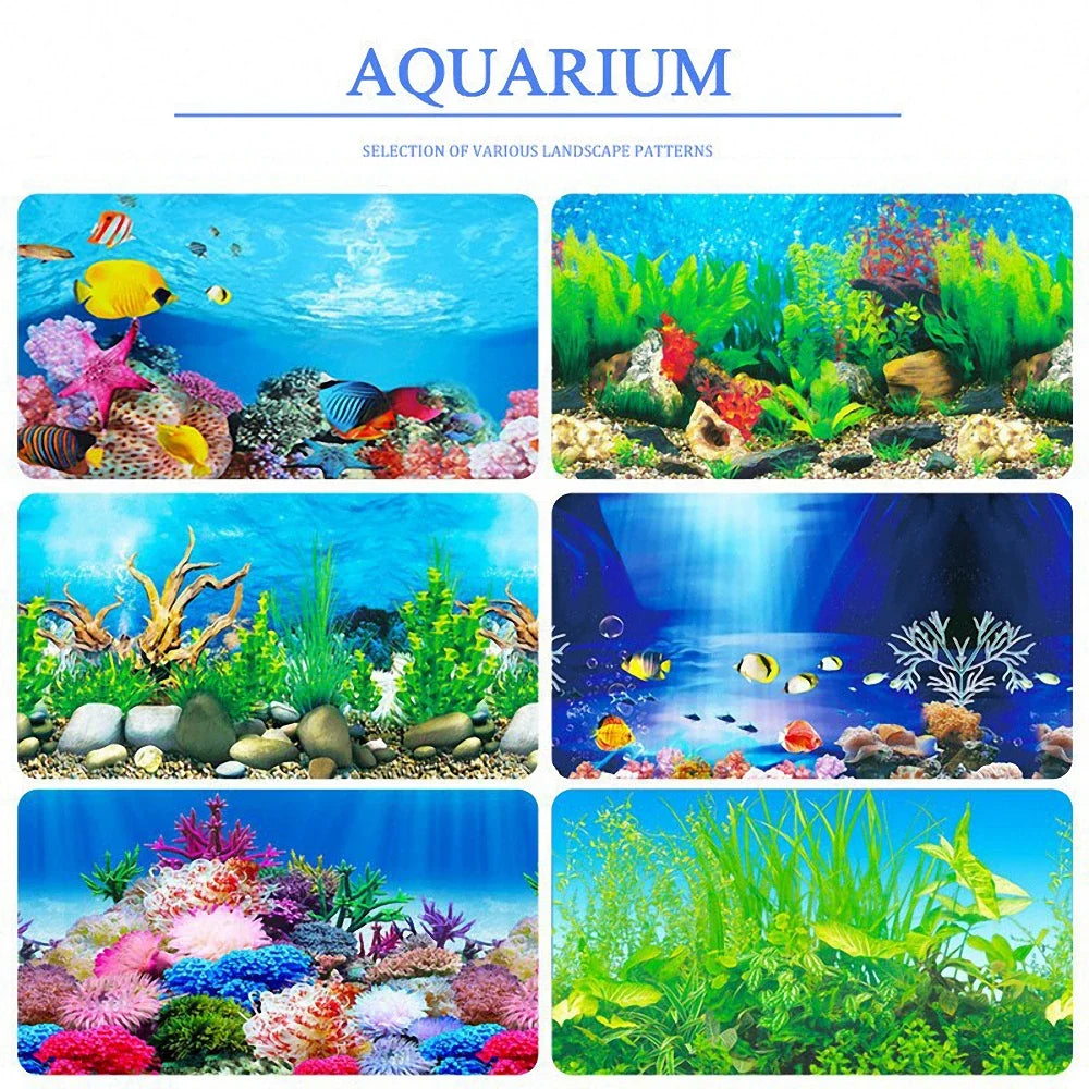 Double-sided Aquarium Landscape