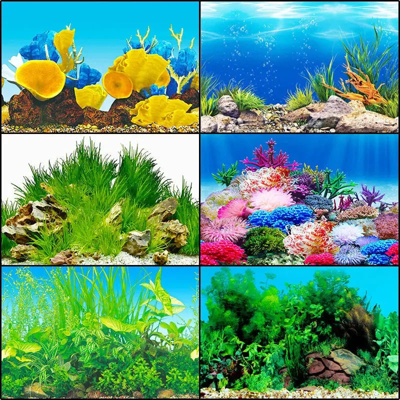 Double-sided Aquarium Landscape