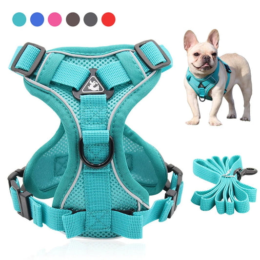 Dog Harness Leash Set Adjustable Pet Harness