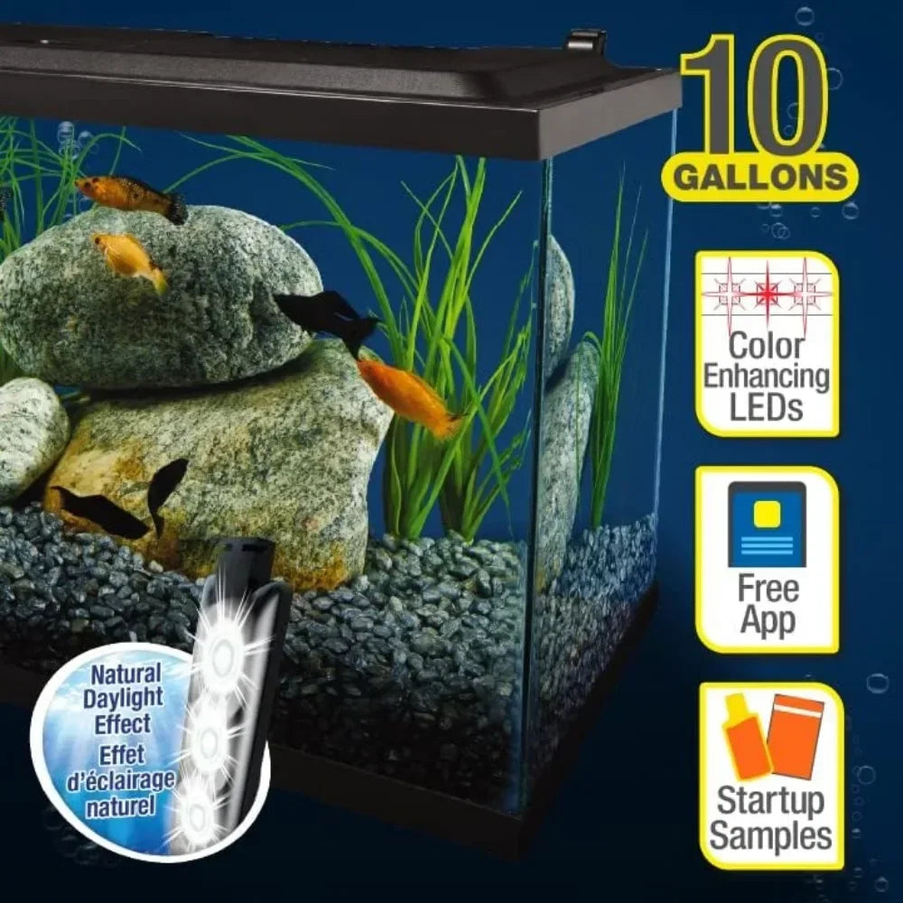 Complete LED Aquarium 10 Gallons