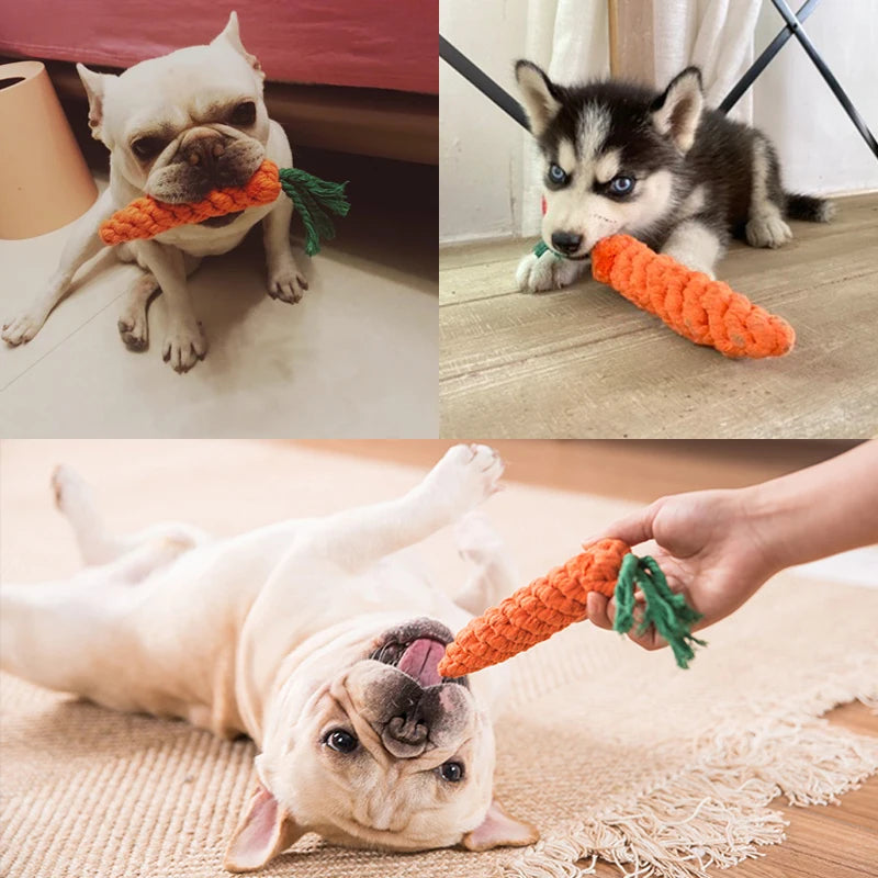 Pet Dog Toys  Animal Dog Chew Puppy Molar Cleaning Teeth - okpetssupplies.com