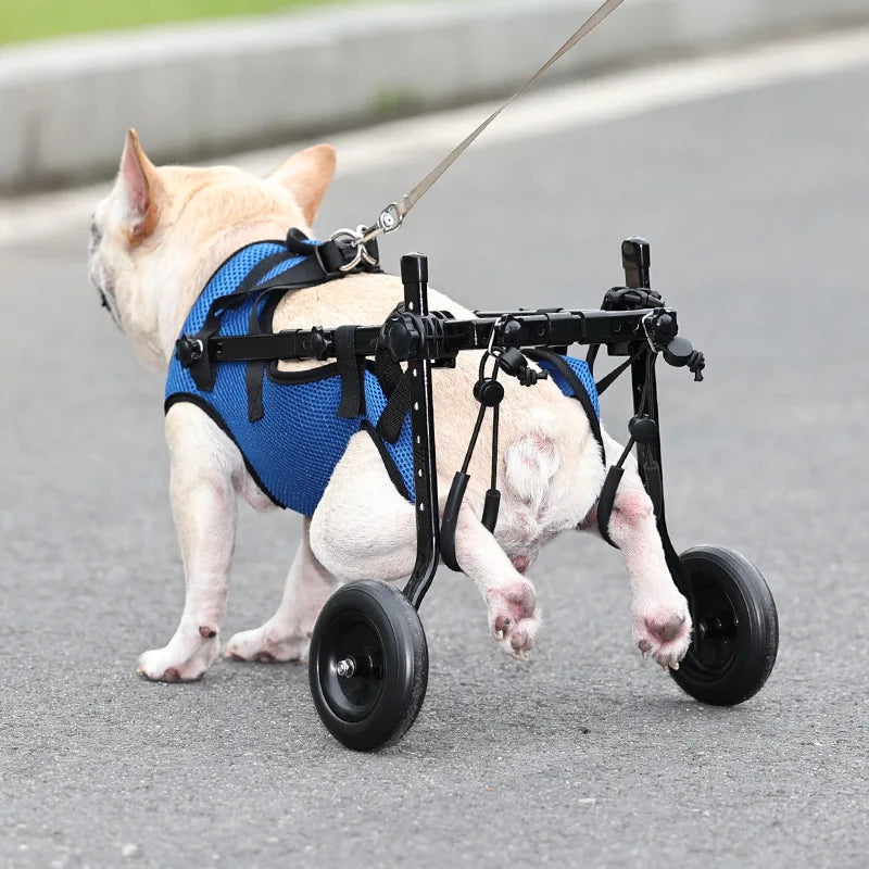 Disability Wheelchair , Hind Legs