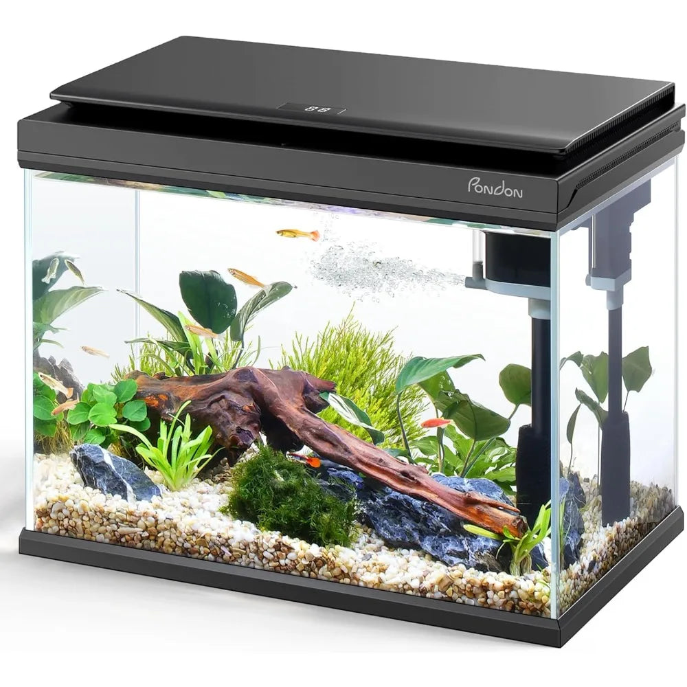 5 Gallon Fish Tank