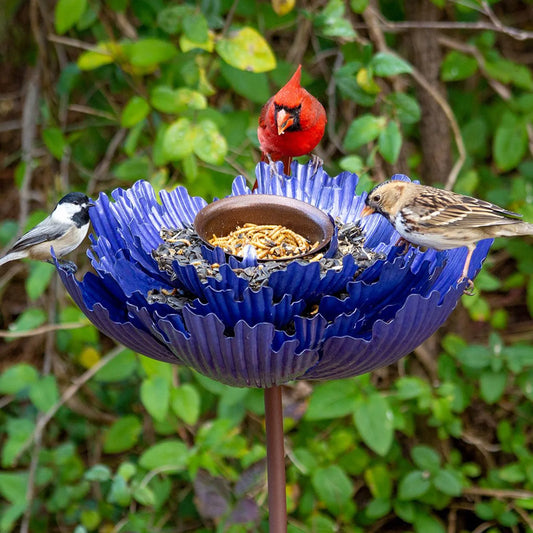 Coneflower Bird Feeder