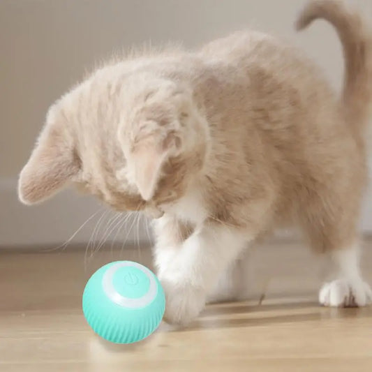 Electric Cat Ball Automatic Toys