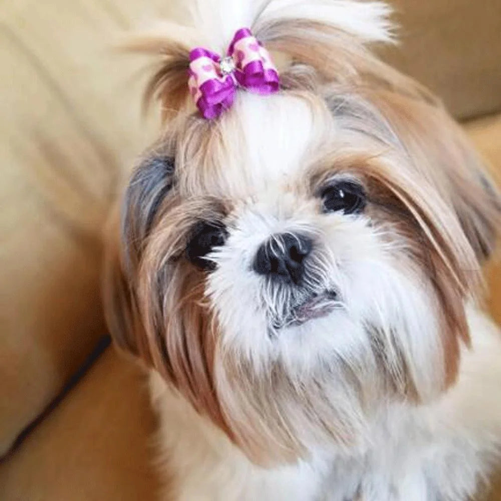 Cute Pet Dog Bows