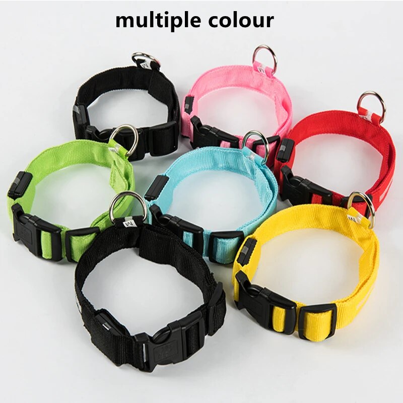 LED Glowing Dog Collar - okpetssupplies.com