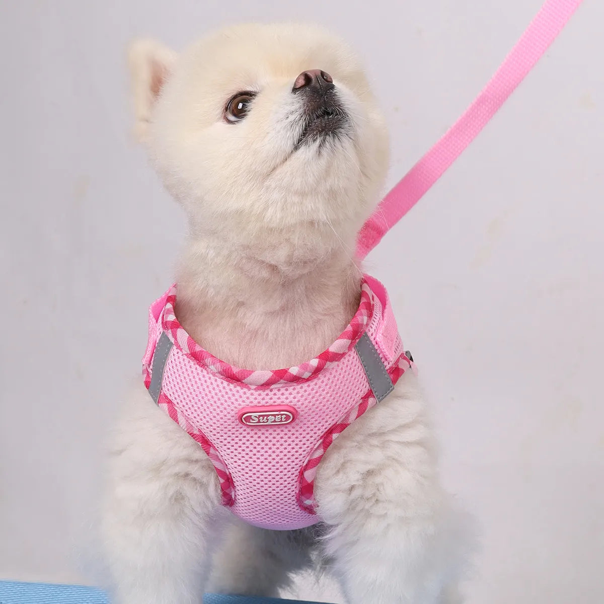 1pc Dog Harness,