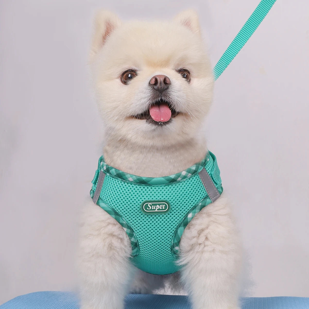 1pc Dog Harness,